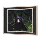 Bear by Chad Mackay a Framed Photo Art Print Matted under Glass from Mercana - Luna Furniture