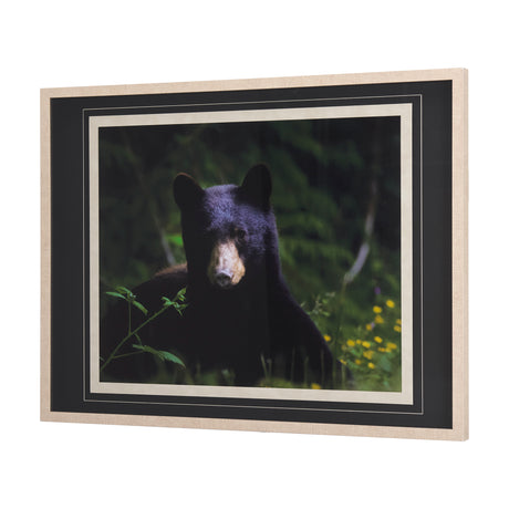 Bear by Chad Mackay a Framed Photo Art Print Matted under Glass from Mercana - Luna Furniture