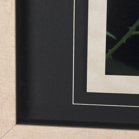 Bear by Chad Mackay a Framed Photo Art Print Matted under Glass from Mercana - Luna Furniture