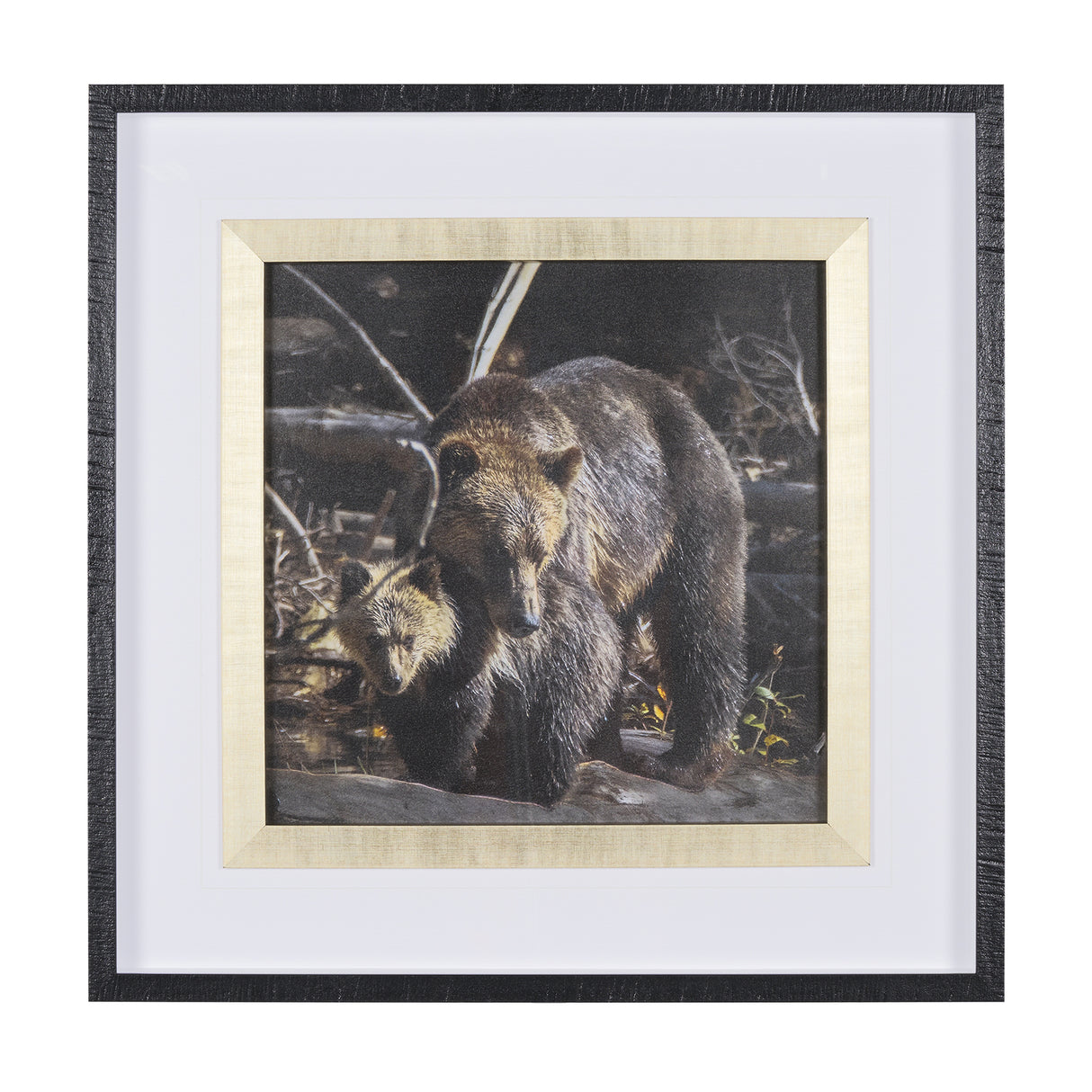 Mom and Cub by Chad Mackay a Hand Embellished Textured Framed Photo Art Print Matted under Glass from Mercana - Luna Furniture