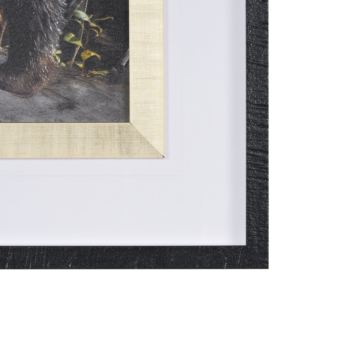 Mom and Cub by Chad Mackay a Hand Embellished Textured Framed Photo Art Print Matted under Glass from Mercana - Luna Furniture