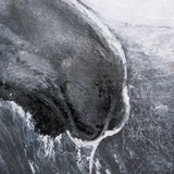 Animal Portrait I by Mercana Studio a Hand Embellished Textured Canvas from Mercana - Luna Furniture