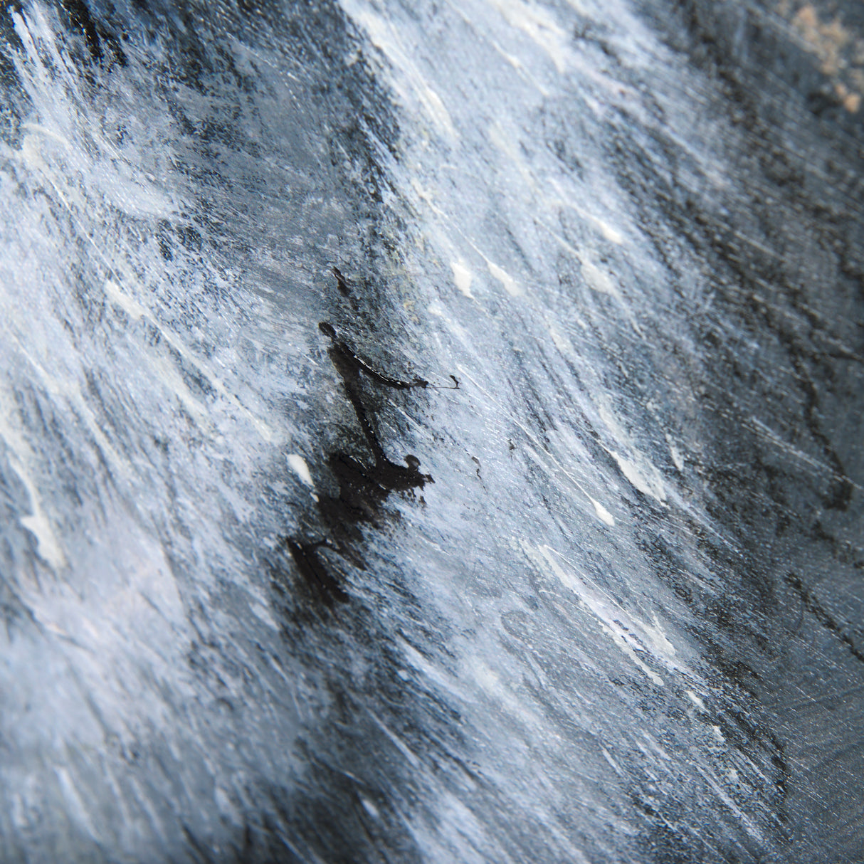 Animal Portrait II by Mercana Studio a Hand Embellished Textured Canvas from Mercana - Luna Furniture