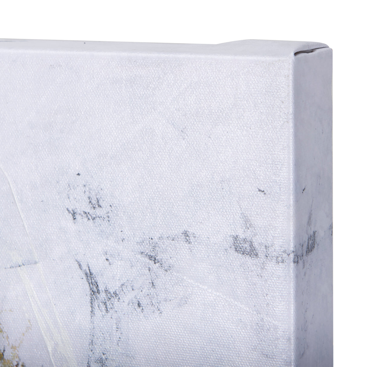 Animal Portrait III by Mercana Studio a Hand Embellished Textured Canvas from Mercana - Luna Furniture