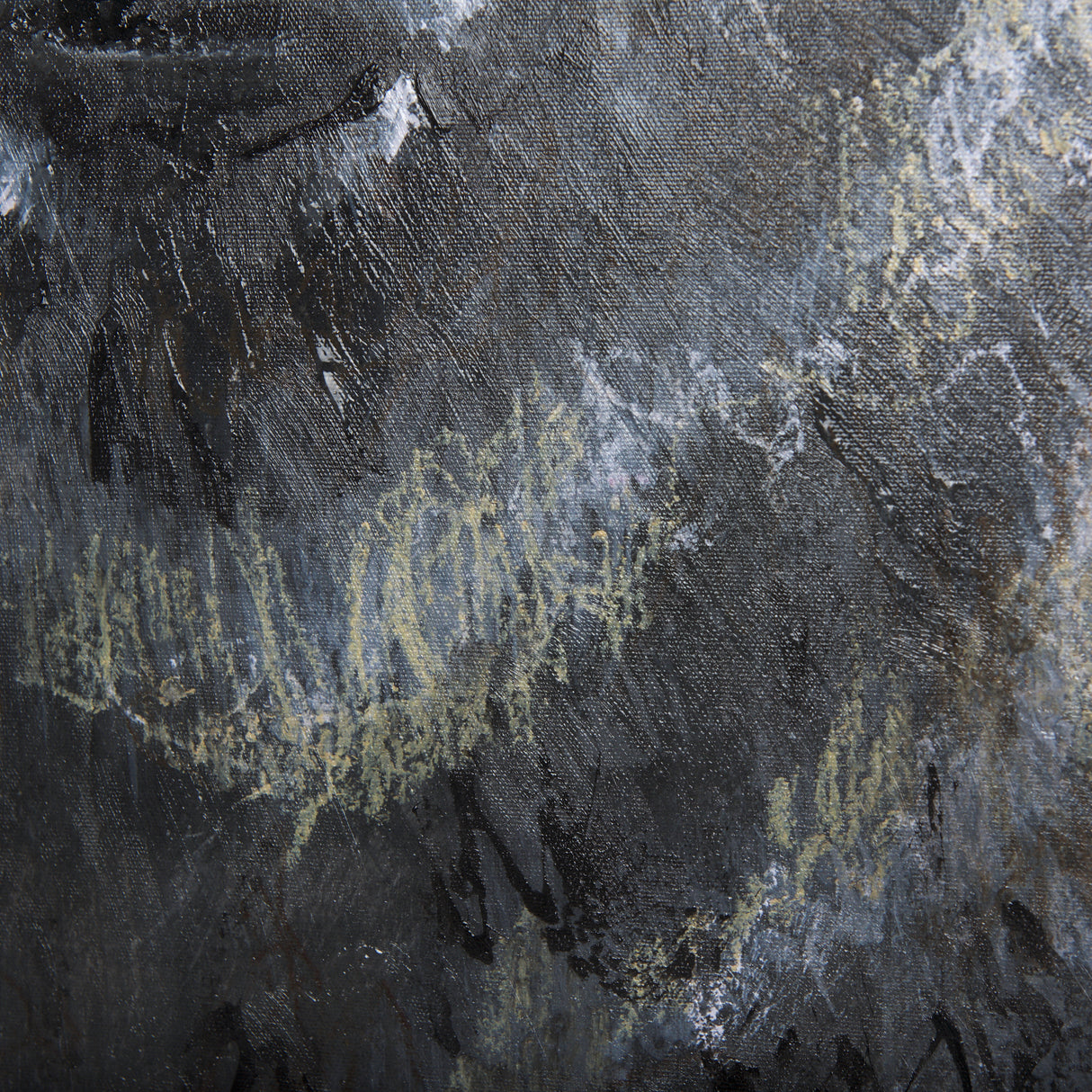 Animal Portrait III by Mercana Studio a Hand Embellished Textured Canvas from Mercana - Luna Furniture