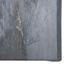 Animal Portrait IV by Mercana Studio a Hand Embellished Textured Canvas from Mercana - Luna Furniture