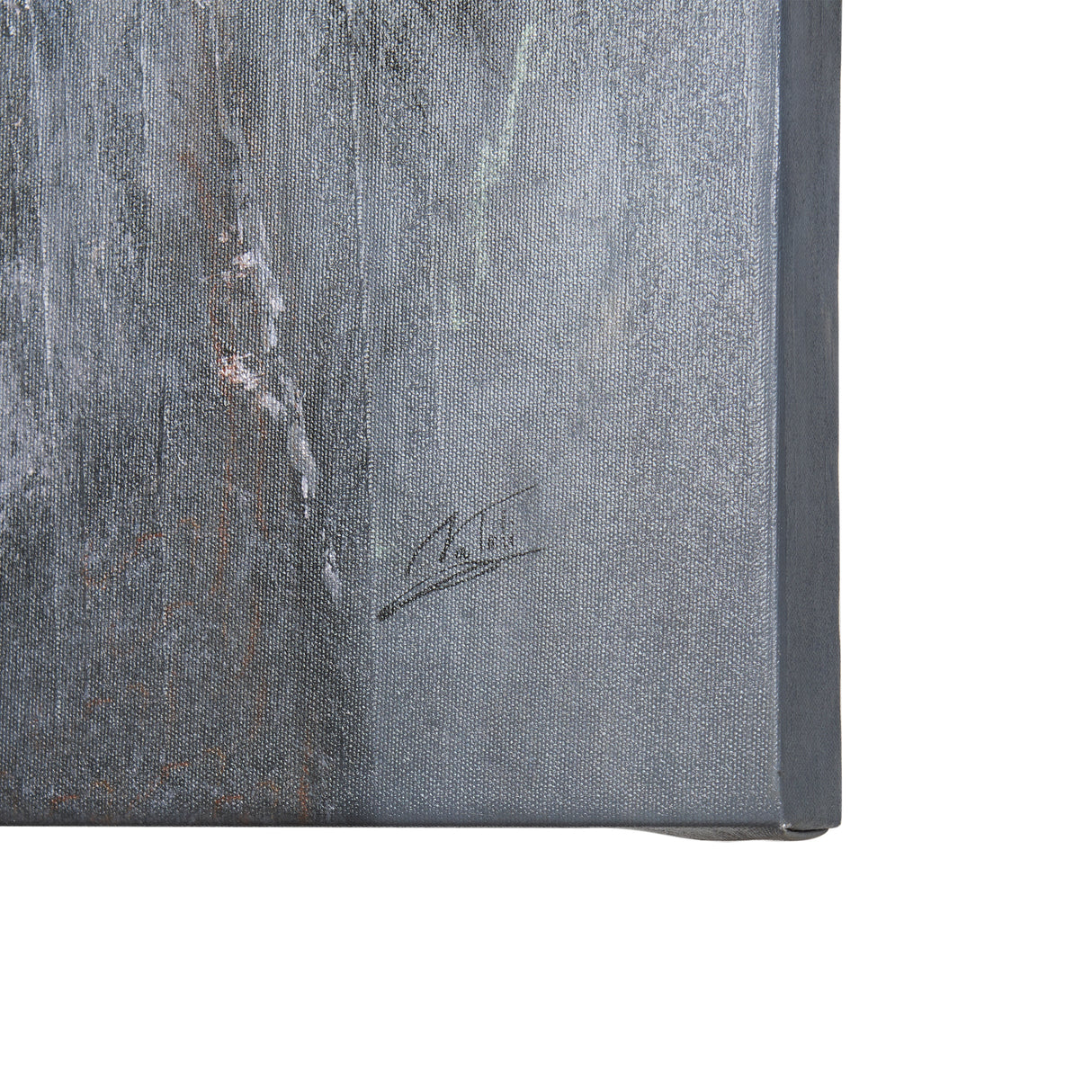 Animal Portrait IV by Mercana Studio a Hand Embellished Textured Canvas from Mercana - Luna Furniture
