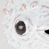 Spike II (Large) 10L x 6W Off-White Ceramic Puffer Fish from Mercana - Luna Furniture