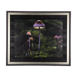 Mushroom by Chad Mackay a Hand Embellished Textured Framed Photo Art Print from Mercana - Luna Furniture