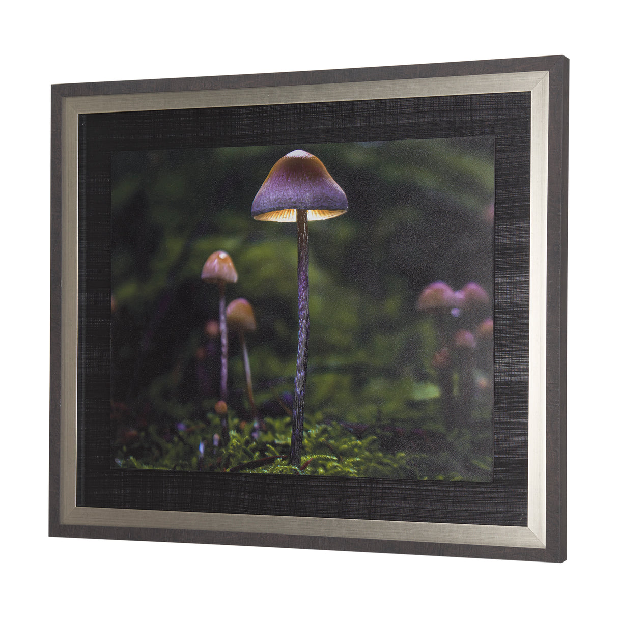 Mushroom by Chad Mackay a Hand Embellished Textured Framed Photo Art Print from Mercana - Luna Furniture