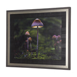 Mushroom by Chad Mackay a Hand Embellished Textured Framed Photo Art Print from Mercana - Luna Furniture