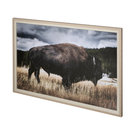 Yellowstone Bison by Dunker a Framed Photo Art Print Matted under Glass from Mercana - Luna Furniture