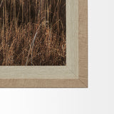 Yellowstone Bison by Dunker a Framed Photo Art Print Matted under Glass from Mercana - Luna Furniture