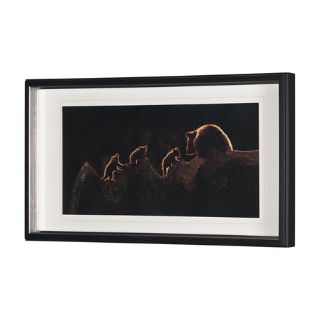 Triplets by Xavier Ortega a Framed Photo Art Print Matted under Glass from Mercana - Luna Furniture