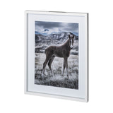 Horse 3 by Dunker a Framed Photo Art Print Matted under Glass from Mercana - Luna Furniture
