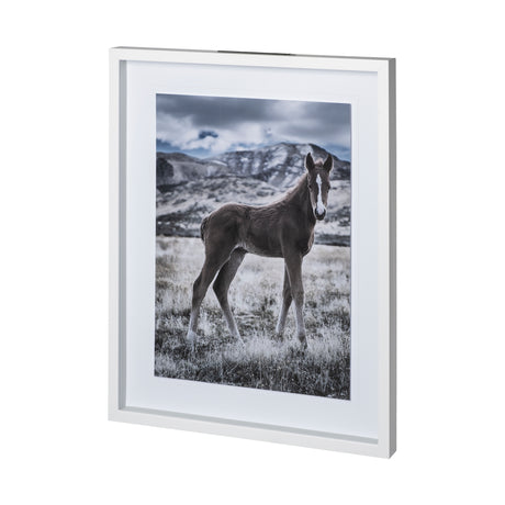 Horse 3 by Dunker a Framed Photo Art Print Matted under Glass from Mercana - Luna Furniture