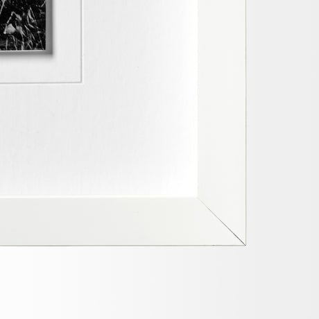Horse 3 by Dunker a Framed Photo Art Print Matted under Glass from Mercana - Luna Furniture