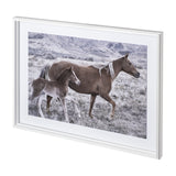 Horse 2 by Dunker a Framed Photo Art Print Matted under Glass from Mercana - Luna Furniture