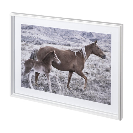 Horse 2 by Dunker a Framed Photo Art Print Matted under Glass from Mercana - Luna Furniture