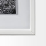 Horse 2 by Dunker a Framed Photo Art Print Matted under Glass from Mercana - Luna Furniture
