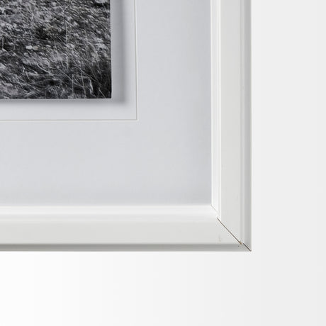 Horse 2 by Dunker a Framed Photo Art Print Matted under Glass from Mercana - Luna Furniture