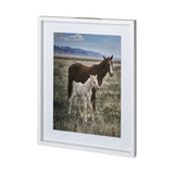 Horse 6 by Dunker a Framed Photo Art Print Matted under Glass from Mercana - Luna Furniture