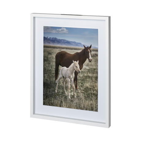 Horse 6 by Dunker a Framed Photo Art Print Matted under Glass from Mercana - Luna Furniture
