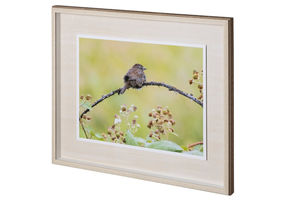 untitled by Nancy Crowell a Framed Photo Art Print Matted under Glass from Mercana - Luna Furniture