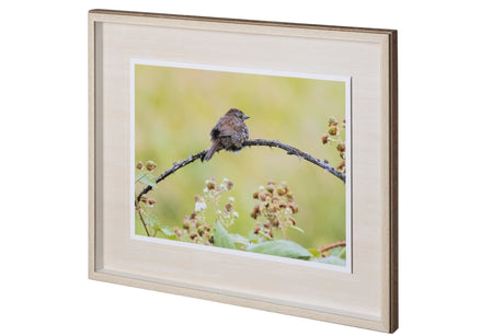 untitled by Nancy Crowell a Framed Photo Art Print Matted under Glass from Mercana - Luna Furniture