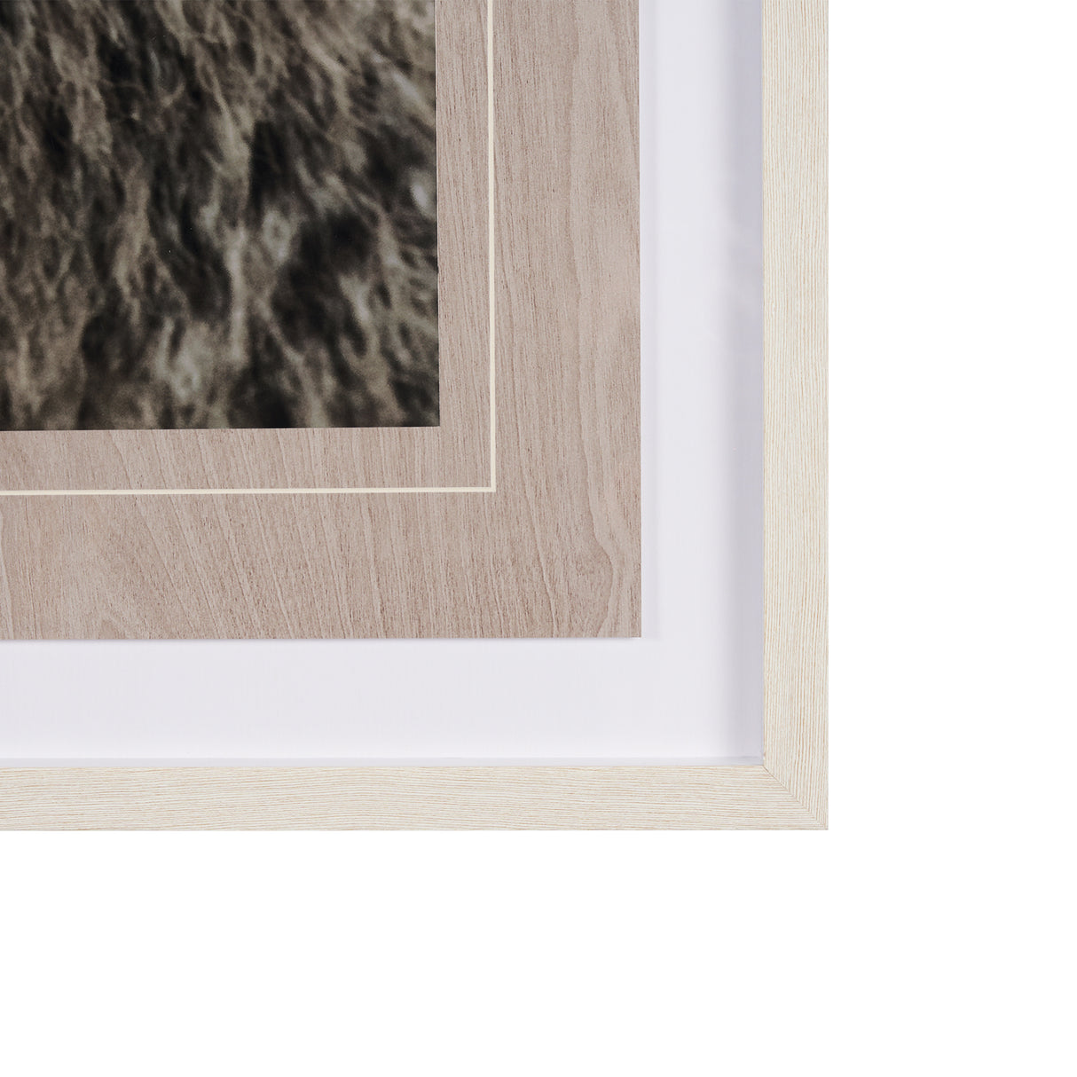 Bear Focus - Hush by Wink Gaines a Hand Embelished Textured Framed Art Photo Matted under Glass from Mercana - Luna Furniture