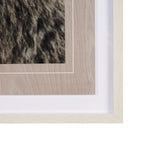 Bear Focus - Hush by Wink Gaines a Hand Embelished Textured Framed Art Photo Matted under Glass from Mercana - Luna Furniture