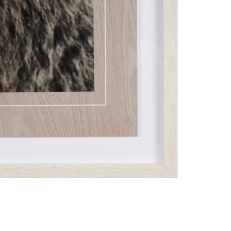 Bear Focus - Hush by Wink Gaines a Hand Embelished Textured Framed Art Photo Matted under Glass from Mercana - Luna Furniture