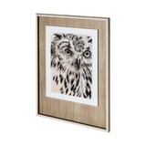 Charcoal Owl I by Jennifer Paxton Parker a Framed Art Print Matted under Glass from Mercana - Luna Furniture