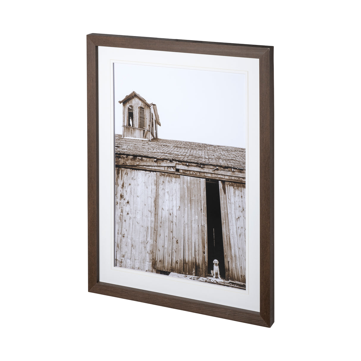 Barnyard Dog v2 by Mercana Studio a Framed Photo Art Print Matted under Glass from Mercana - Luna Furniture