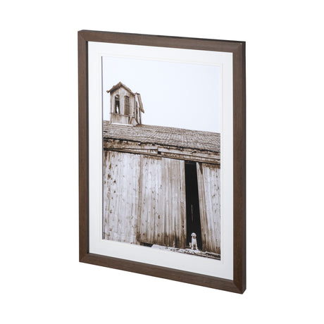 Barnyard Dog v2 by Mercana Studio a Framed Photo Art Print Matted under Glass from Mercana - Luna Furniture