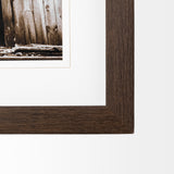 Barnyard Dog v2 by Mercana Studio a Framed Photo Art Print Matted under Glass from Mercana - Luna Furniture