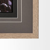 Owl in the Snow by PHBurchett a Framed Photo Art Print Matted under Glass from Mercana - Luna Furniture