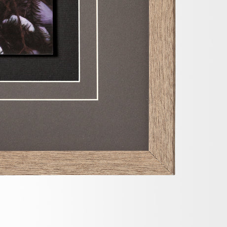 Owl in the Snow by PHBurchett a Framed Photo Art Print Matted under Glass from Mercana - Luna Furniture