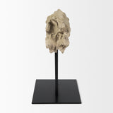 Dwell Cholla Wood Resin Decorative Object from Mercana - Luna Furniture