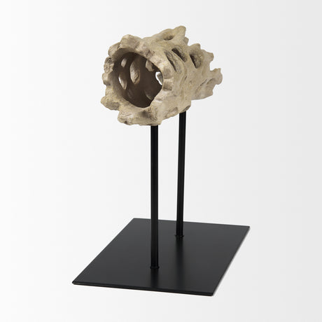 Dwell Cholla Wood Resin Decorative Object from Mercana - Luna Furniture