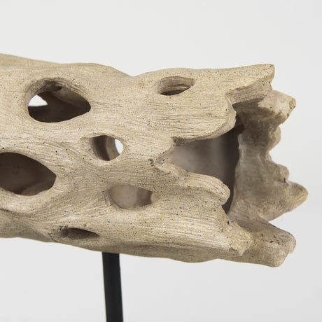 Dwell Cholla Wood Resin Decorative Object from Mercana - Luna Furniture