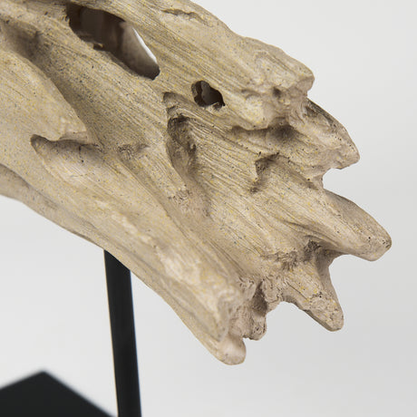 Dwell Cholla Wood Resin Decorative Object from Mercana - Luna Furniture