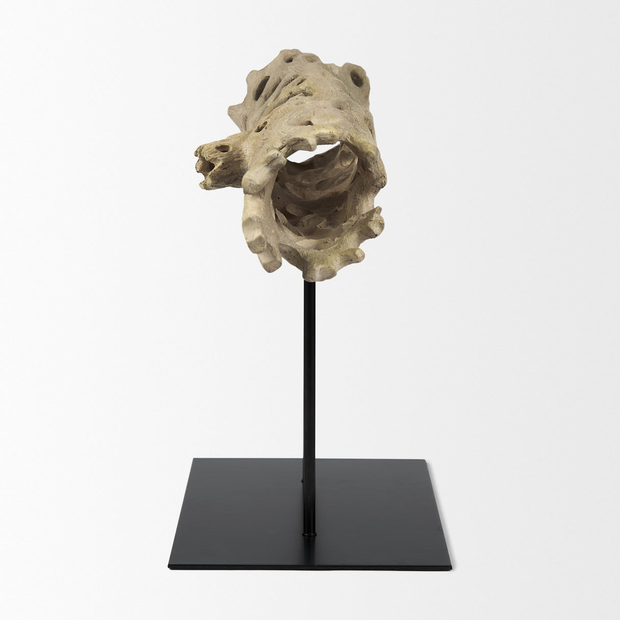 Dwell Cholla Wood Resin Decorative Object from Mercana - Luna Furniture