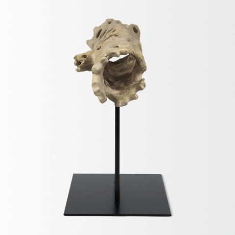 Dwell Cholla Wood Resin Decorative Object from Mercana - Luna Furniture
