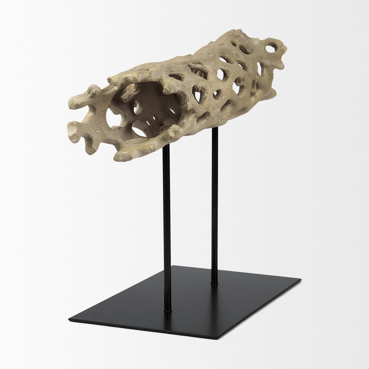 Dwell Cholla Wood Resin Decorative Object from Mercana - Luna Furniture