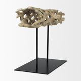 Dwell Cholla Wood Resin Decorative Object from Mercana - Luna Furniture
