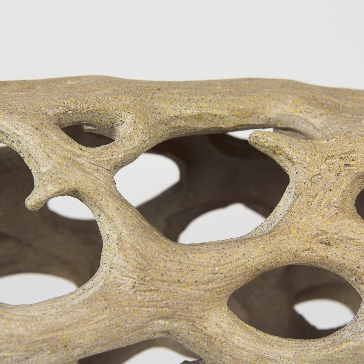 Dwell Cholla Wood Resin Decorative Object from Mercana - Luna Furniture