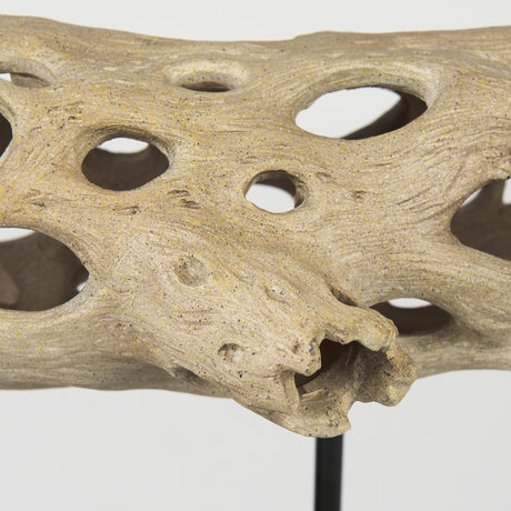 Dwell Cholla Wood Resin Decorative Object from Mercana - Luna Furniture