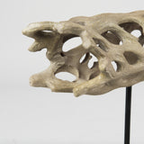 Dwell Cholla Wood Resin Decorative Object from Mercana - Luna Furniture