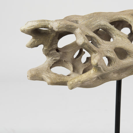 Dwell Cholla Wood Resin Decorative Object from Mercana - Luna Furniture